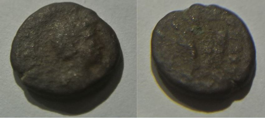 Ancient-Coins-ID